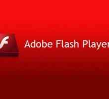 Приставки за браузъри: Adobe Flash Player. Активиране, актуализиране, изтриване - как?