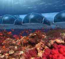 Ще има подводен петзвезден хотел Poseidon Undersea Resort във Фиджи?