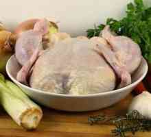 Пилешки бульон с юфка: рецепти за готвене