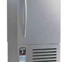 Домакински хладилници за шоково замразяване: описание, характеристики, ревюта