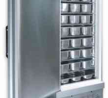 Домакински хладилници - напредък в хранително-вкусовата промишленост