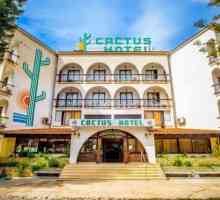 Cactus Hotel 2 * (Кипър, Ларнака): описание, услуги, отзиви и мнения