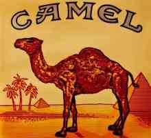 CAMEL - цигари с много история