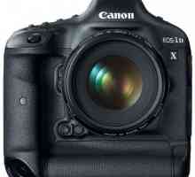 Canon 1DX: спецификации и отзиви. Професионална цифрова SLR камера