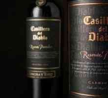 Касилеро дел Диабло: вино, достойно за дявола