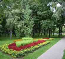 Парк Чапайевски или Авиаторен парк: малък зелен остров в голям град