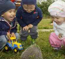 Частни детски градини в Чебоксари: описание