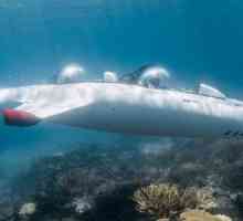 Частни подводници: описание, характеристики, интересни факти