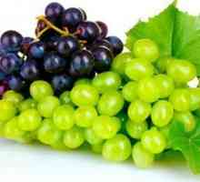 Каква е болестта на гроздето? Мамела: лечение на болестта, причини и превенция
