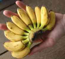 Интересни малки банани