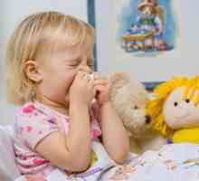 Какво да храним дете с ротавирусна инфекция: менюта, рецепти и хранителни характеристики