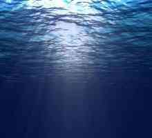 Каква е разликата между океанските течения и вълните? Природата и възможностите на тези явления