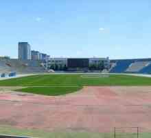 Какво е забележително за Централния стадион във Волгоград?