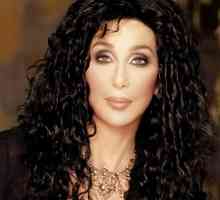 Cher (Cher) - певица: биография, снимка, музика, филми