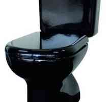 Черна тоалетна тоалетна: снимка, предимства и недостатъци, опции за баня