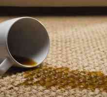 Почистване на килими у дома: средства и методи, прегледи