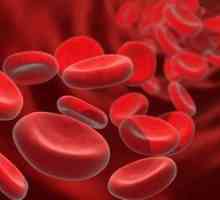 Почистване на кръвта като средство за защита срещу различни заболявания