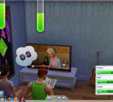 Cheat кодове за "The Sims 4" за нуждите: как да кандидатствате