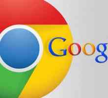 Chrome Flags Enable Npapi: описание, настройки и отзиви