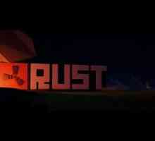 Какво трябва да направя, ако Rust не започне?