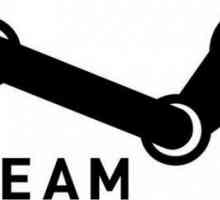 Какво трябва да направя, ако се срине "Steam"? Как да възстановите достъпа?