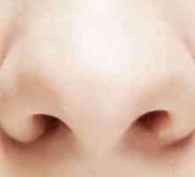 Каква форма на носа може да разкаже за вашата личност?