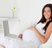 Какво казва Кодексът на труда: лесен труд за бременност, условия, плащане, характеристики на…
