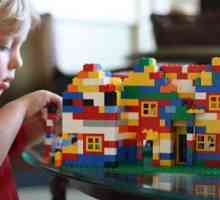 Какво може да се построи от Лего? Идеи и опции