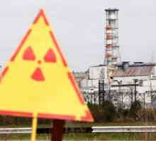 Какво всъщност се случи по време на бедствието в Чернобил?
