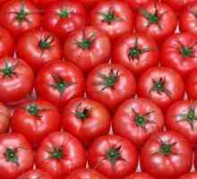 Какво означава да мечтаете за домати? Тълкуването на мечта ще подскаже отговора