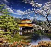 Какво да видим в Киото? Префектура Япония изненадва туристи с уникални гледки