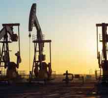 Какво се получава от петрола? Технология на рафиниране на нефт