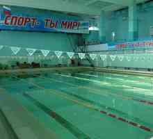 Какво е плувен басейн "Торпедо" в Уляновск
