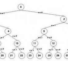 Какво представлява алгоритъм с разклоняване? Примери и дефиниция на алгоритми за разклоняване
