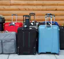 Какво е багажът? Значение, синоними и тълкуване