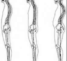 Какви са физиологичните криви на гръбначния стълб