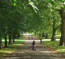 Какво представлява Хайд Парк за местните жители и туристите?