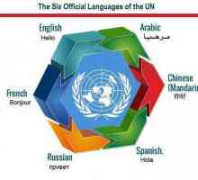 Какъв е официалният език? Държавните езици на държавите