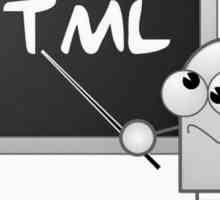 Какво е тип HTML вход?