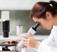 Какво представлява феталната индукция? Изследвания в областта на експерименталната ембриология