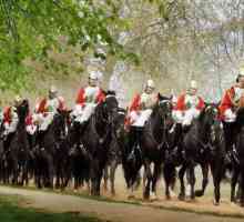 Какво представлява кавалерийският полк? История на кавалерията на Русия