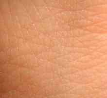 Какво е кожата и нейното значение за човешкото тяло