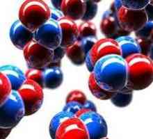 Какво представлява молекулата и как се различава от атома