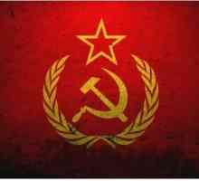 Какво е национал-комунизъм?