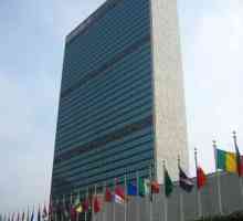 Какво представлява ООН: история и функции на организацията