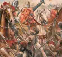 Какво е Reconquista? Reconquista: причини и последици