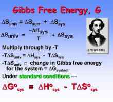 Каква е свободната енергия на Гибс?