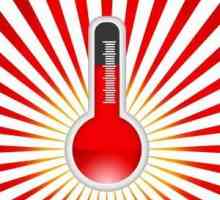 Какво представлява термометърът? Кратко описание