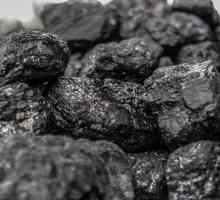 Какво е въглища, как и защо се добива? Водещи страни в добива на въглища