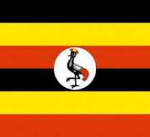 Какъв вид птица се изобразява на флага на Уганда? История и описание на флага на страната